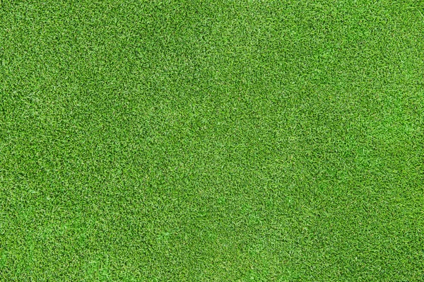 Зеленая текстура травы Стоковое Фото