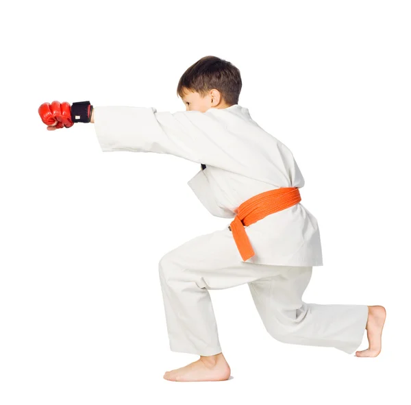 Aikido fiú. Harcművészet. — Stock Fotó