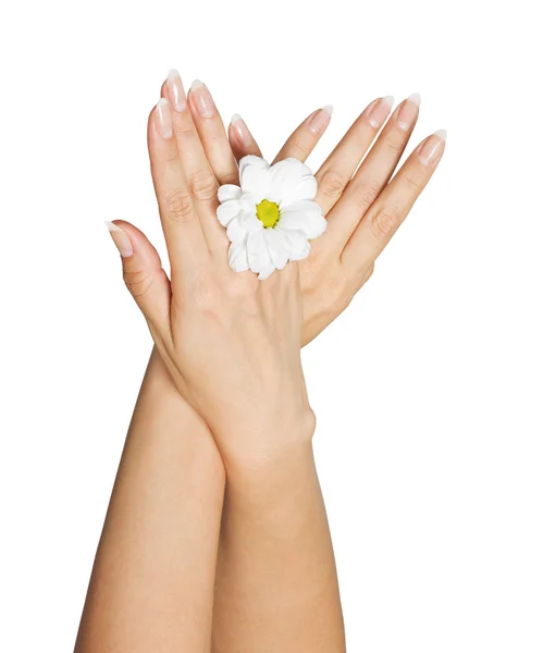 Női kéz virág — Stock Fotó