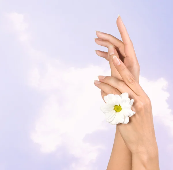 Kvinnliga händer med blomma — Stockfoto