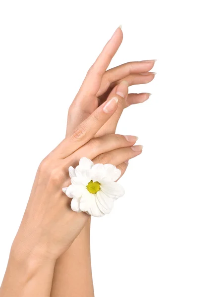 花と女性の手 — ストック写真