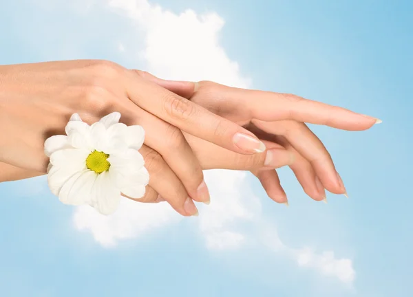 Image Beautiful Female Hands Flower Focus Front — Stock Photo, Image