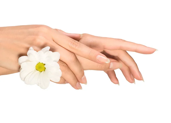 花と女性の手 — ストック写真