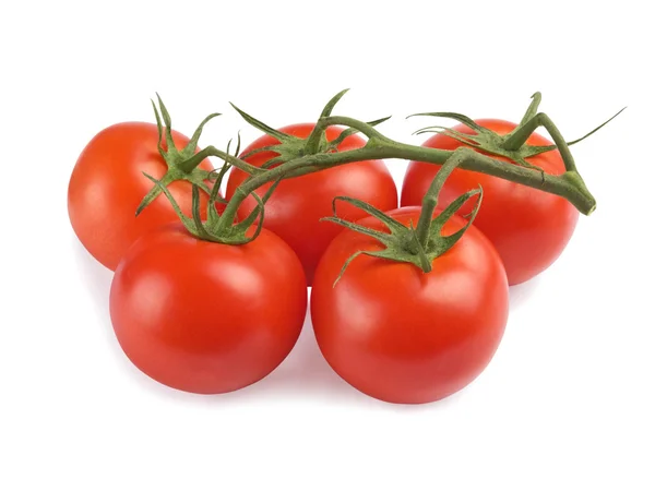 Pomodori rossi — Foto Stock