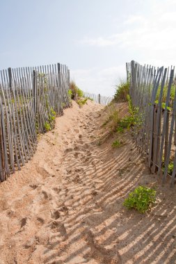 Walkway to a beach in North carolina vertical clipart