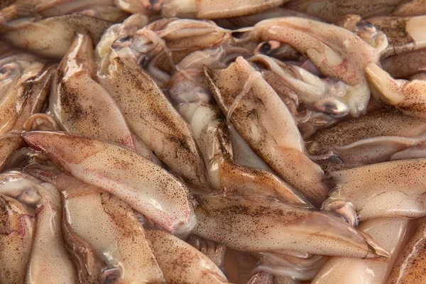 イカのカット餌 — ストック写真