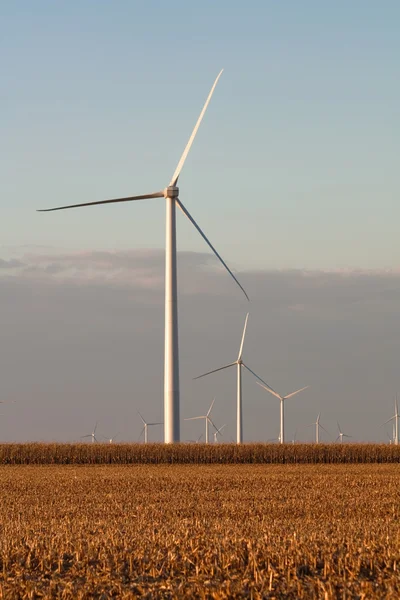 风力发电机组在玉米田垂直 — 图库照片