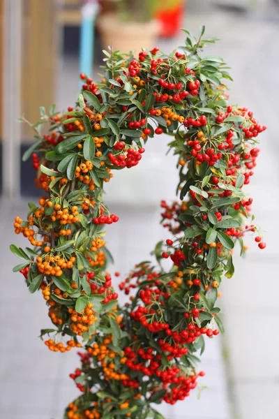 Red Orange Berries Crown Specific Fall Decoration Many Japanese Rural — Stock Photo, Image