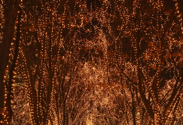 Abstrakter Speck Der Durch Eine Weihnachtsbeleuchtungsshow Erzeugt Wird — Stockfoto
