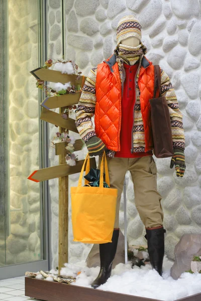 stock image Winter mannequin