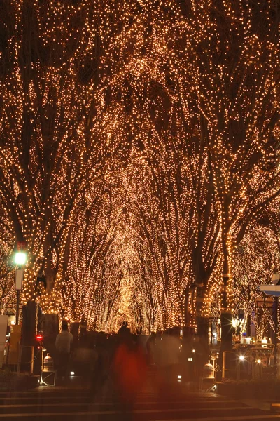 Sendai december verlichting festival — Stockfoto