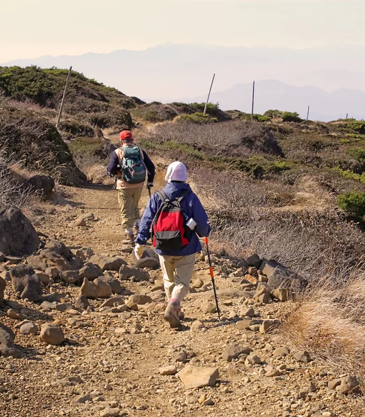 Wandern Einem Felsigen Berg Zao Mountain Japan — Stockfoto