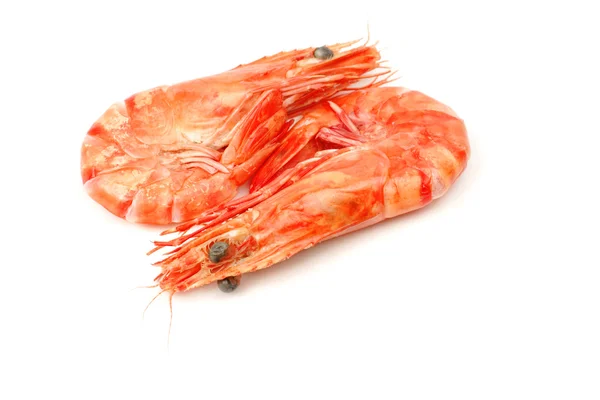 Pair Shrimps White Background — Stock Photo, Image