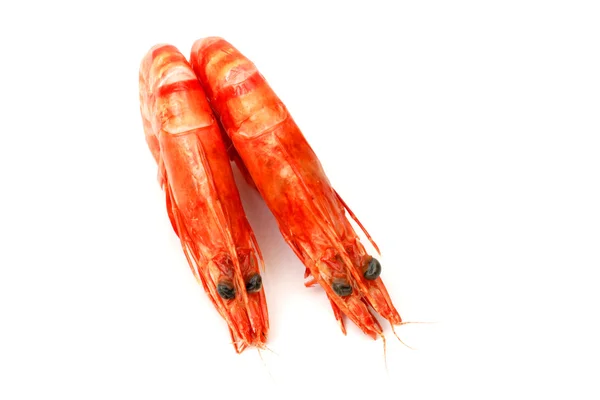 Pair Shrimps White Background — Stock Photo, Image