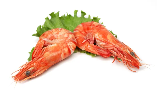 Shrimp pair — Stock Photo, Image
