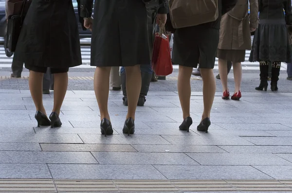 等待跨在一个城市的街道的办事处女士腿 — 图库照片