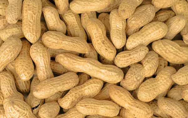 Stapel Von Erdnüssen Nützliches Hintergrundbild — Stockfoto