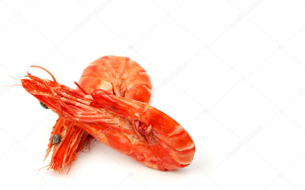 A pair of shrimps over white background