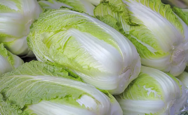 Chinese cabbages — Stock Photo, Image