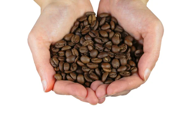 stock image Hans with coffee beans