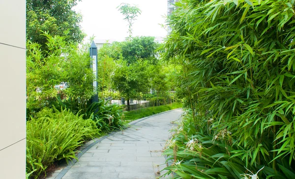 Tranquil Garden Walkway — Stock Photo, Image
