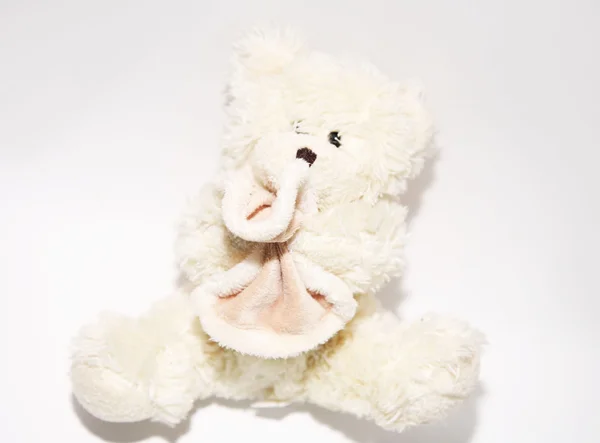 Kartu putih Teddy Bear — Stok Foto