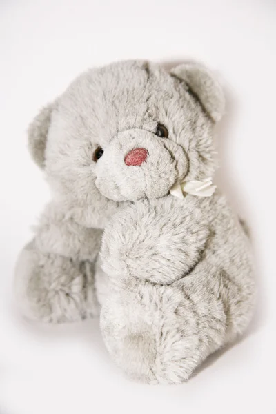 Teddy Bear cartão branco — Fotografia de Stock