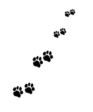 Traces clipart