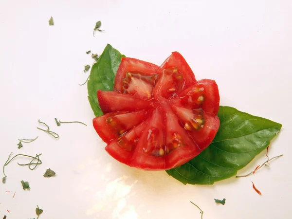Tomatblomst Med Urter Krydder Mot Hvite – stockfoto