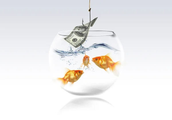 stock image goldfish and money dolar on fishing hook