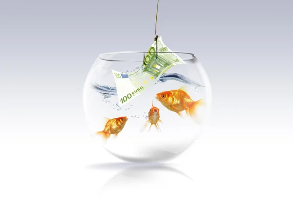 stock image Goldfish and money