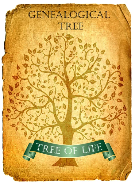 Genealogiska Livets Träd Förälder Föräldraskap Stamtavla Bild Föregångare — Stockfoto