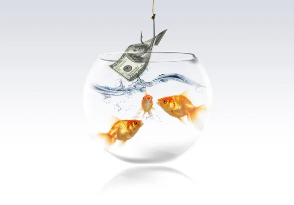 Goldfish Money Dolar Fishing Hook — Stock Photo, Image