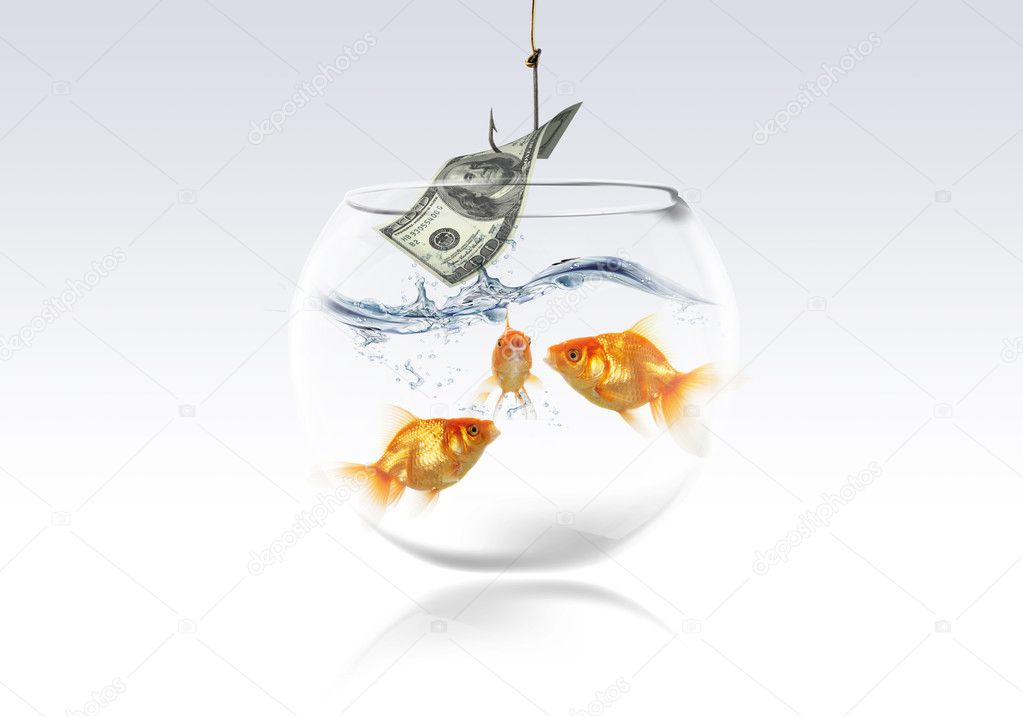 goldfish and money dolar on fishing hook