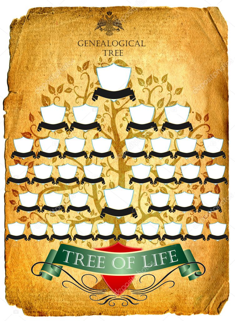 Genealogical tree of life, parent, parenting, pedigree, picture, predecessor