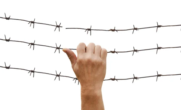 stock image Fist clenched barbed wire