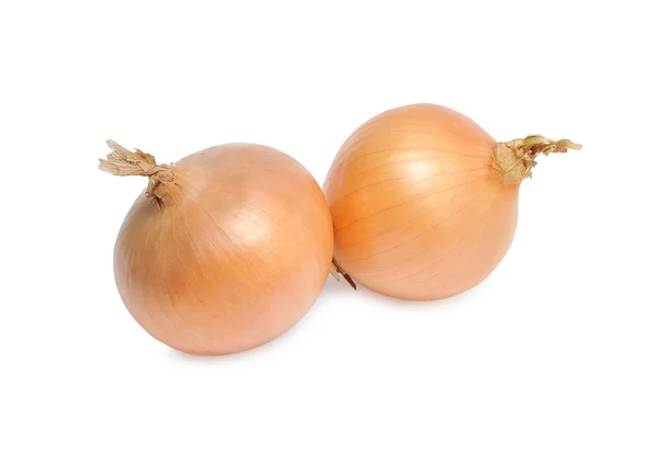 Onion Royalty Free Stock Images