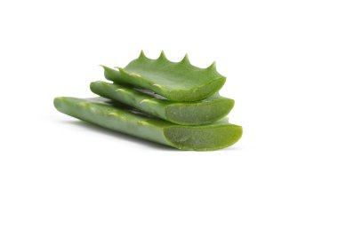 Aloe beyaz arkaplanda izole edildi