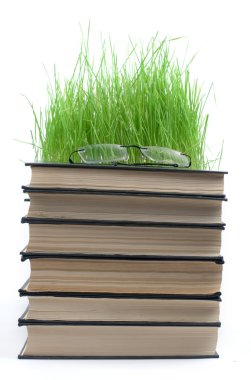 Kitaplar noktaları ve yeşil ot yığını