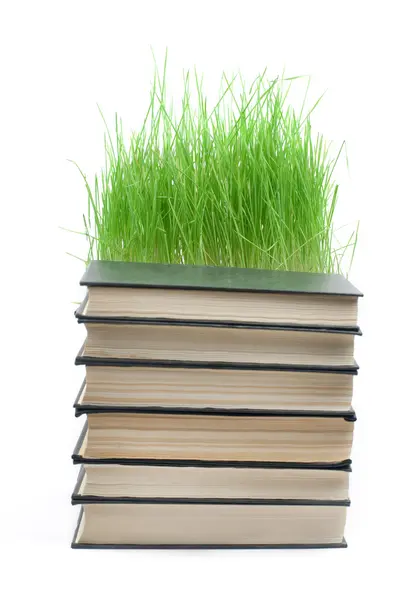 Pile Books Points Green Grass — Stock Photo, Image