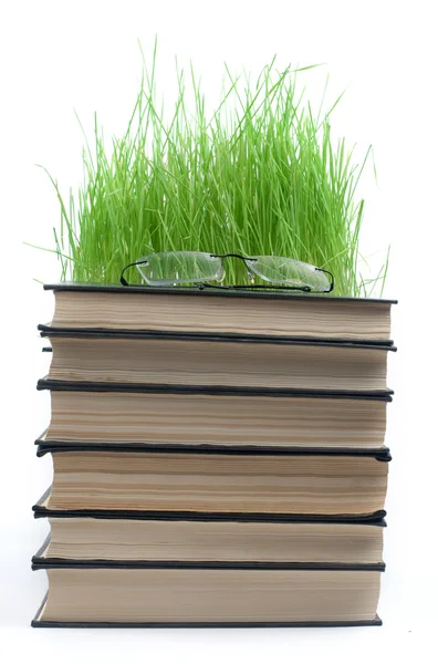 Pile of books points and a green grass — Stock Photo, Image
