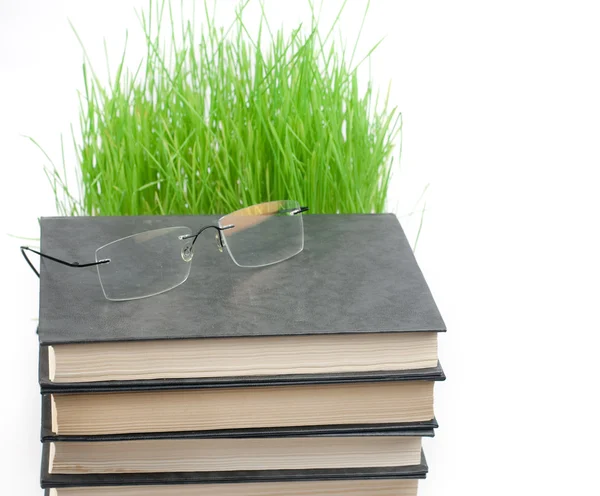 Pile of books points and a green grass — Stock Photo, Image