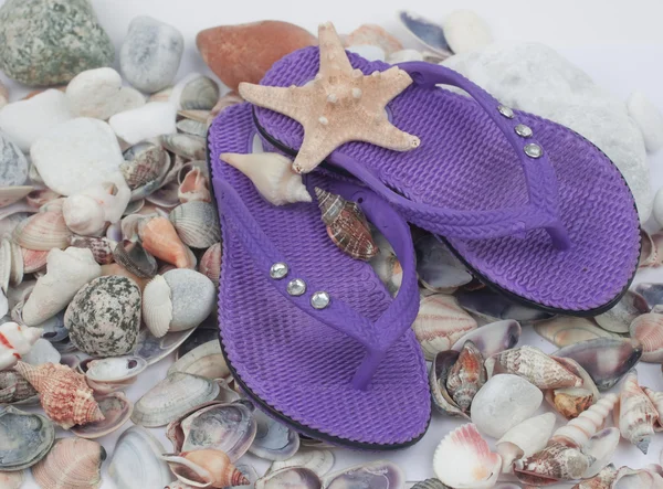Beach slippers lie on cockleshells — Stock Photo, Image