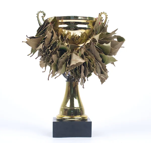 Кубок победителя и лавровый лист — стоковое фото