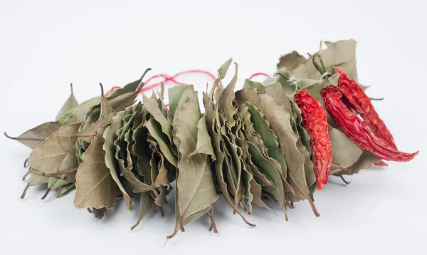 Hot pepper and dry bay leaf — Stock Photo, Image