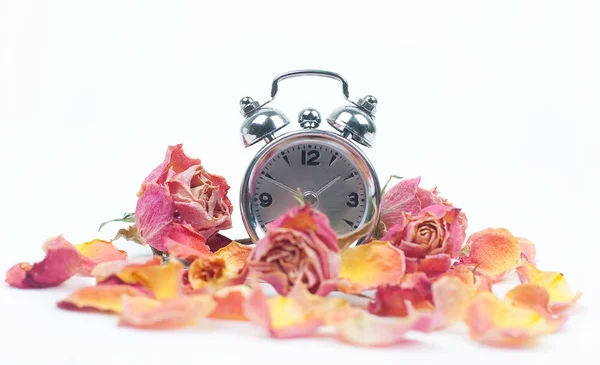 Часы и сухие цветы времен — стоковое фото