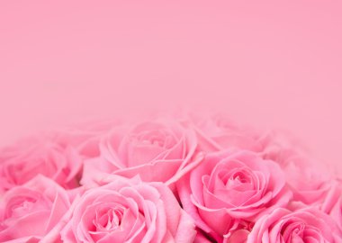 Pink roses clipart