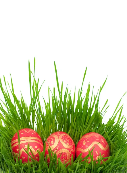 Easter eggs on a green grass — Stock Photo, Image