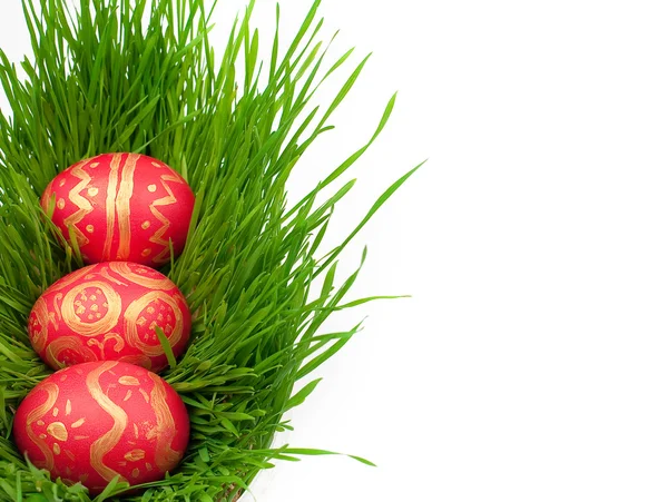 Velikonoční vejce na zelené trávě — Stock fotografie