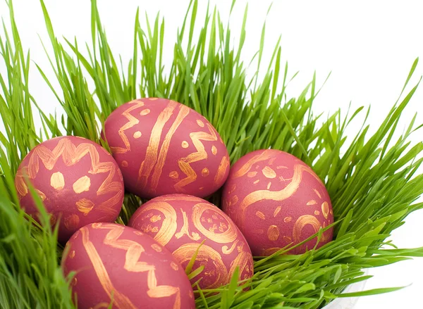 Huevos de Pascua sobre una hierba verde —  Fotos de Stock